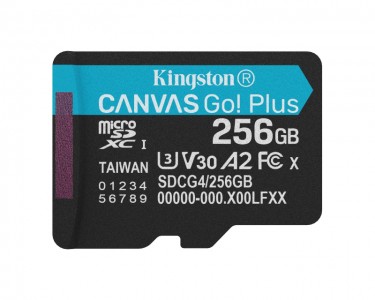 Memorijska kartica U3 V30 microSDXC 256GB Canvas Go Plus 200MB/s A2 SDCG4/256GBSP