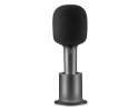 Karaoke Microphone (BHR6752GL)