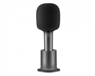 Karaoke Microphone (BHR6752GL)